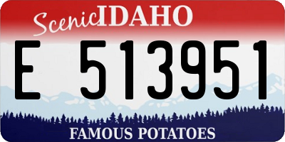 ID license plate E513951