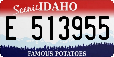 ID license plate E513955