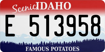 ID license plate E513958