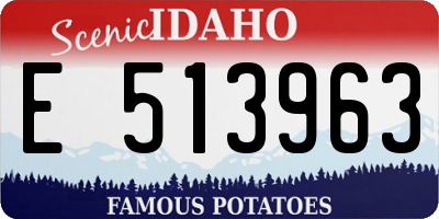 ID license plate E513963