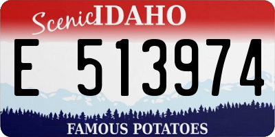 ID license plate E513974