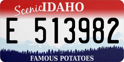 ID license plate E513982