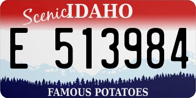ID license plate E513984