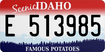 ID license plate E513985