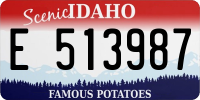 ID license plate E513987