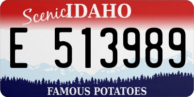 ID license plate E513989