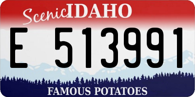ID license plate E513991