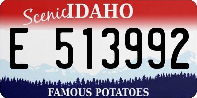 ID license plate E513992