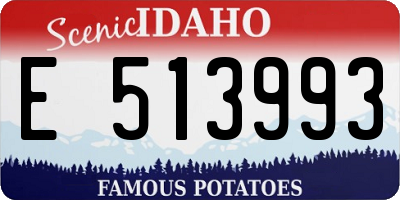 ID license plate E513993