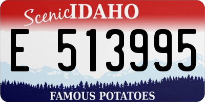 ID license plate E513995