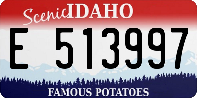 ID license plate E513997