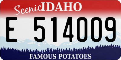 ID license plate E514009