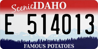ID license plate E514013