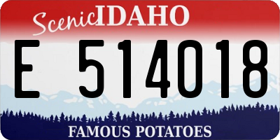 ID license plate E514018