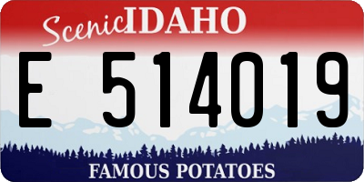 ID license plate E514019