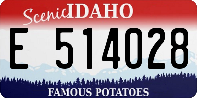 ID license plate E514028