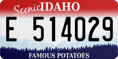 ID license plate E514029