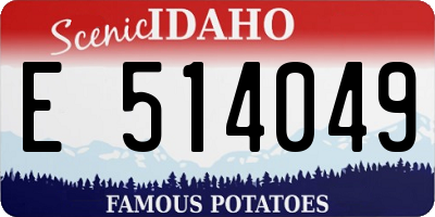 ID license plate E514049