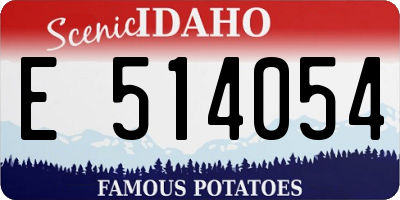 ID license plate E514054
