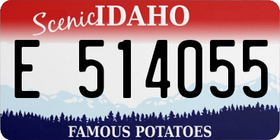 ID license plate E514055