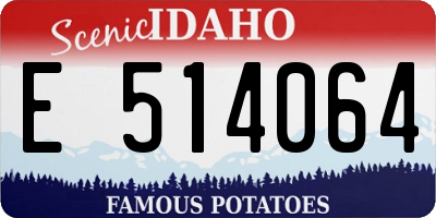 ID license plate E514064