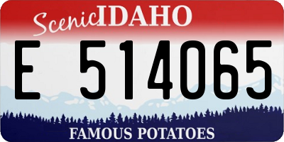 ID license plate E514065