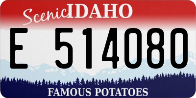 ID license plate E514080