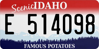 ID license plate E514098