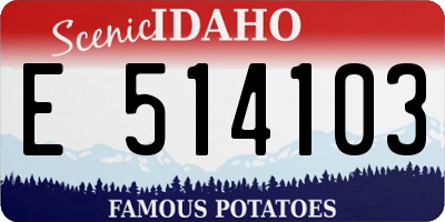 ID license plate E514103