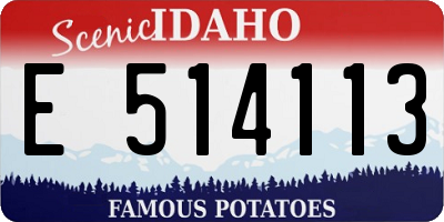 ID license plate E514113