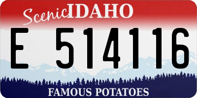 ID license plate E514116