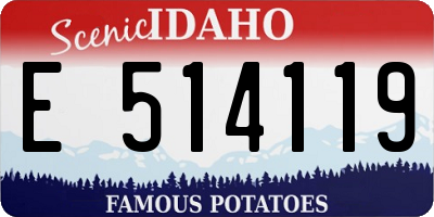ID license plate E514119