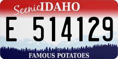 ID license plate E514129