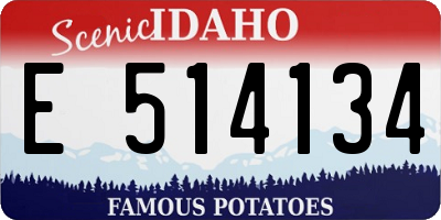 ID license plate E514134