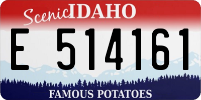 ID license plate E514161