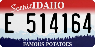 ID license plate E514164
