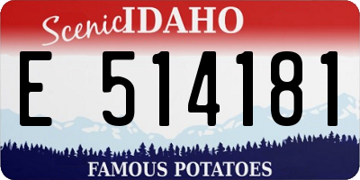 ID license plate E514181