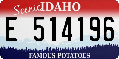 ID license plate E514196