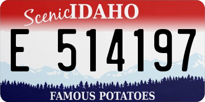 ID license plate E514197