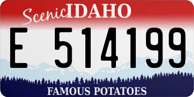 ID license plate E514199