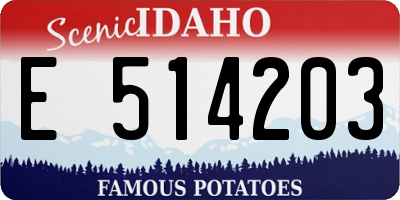 ID license plate E514203