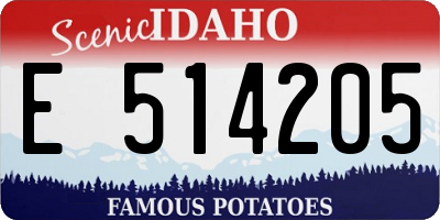 ID license plate E514205