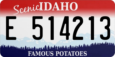 ID license plate E514213