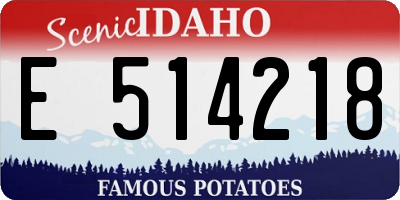 ID license plate E514218