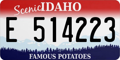ID license plate E514223