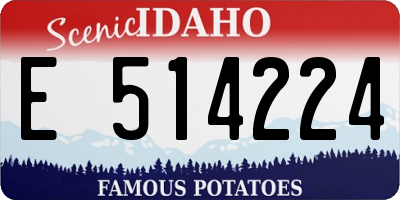 ID license plate E514224