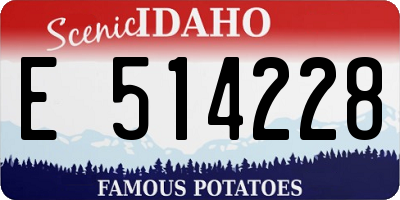ID license plate E514228