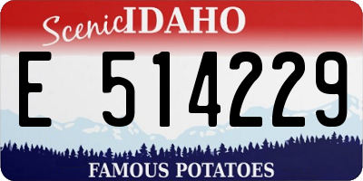 ID license plate E514229
