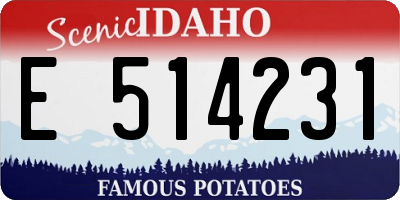 ID license plate E514231