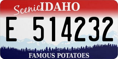 ID license plate E514232